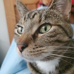 Meet your Posher, Tammy